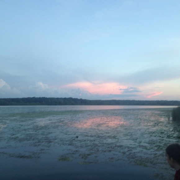 Meet your Posher, Hannah - Picture 3 of 3